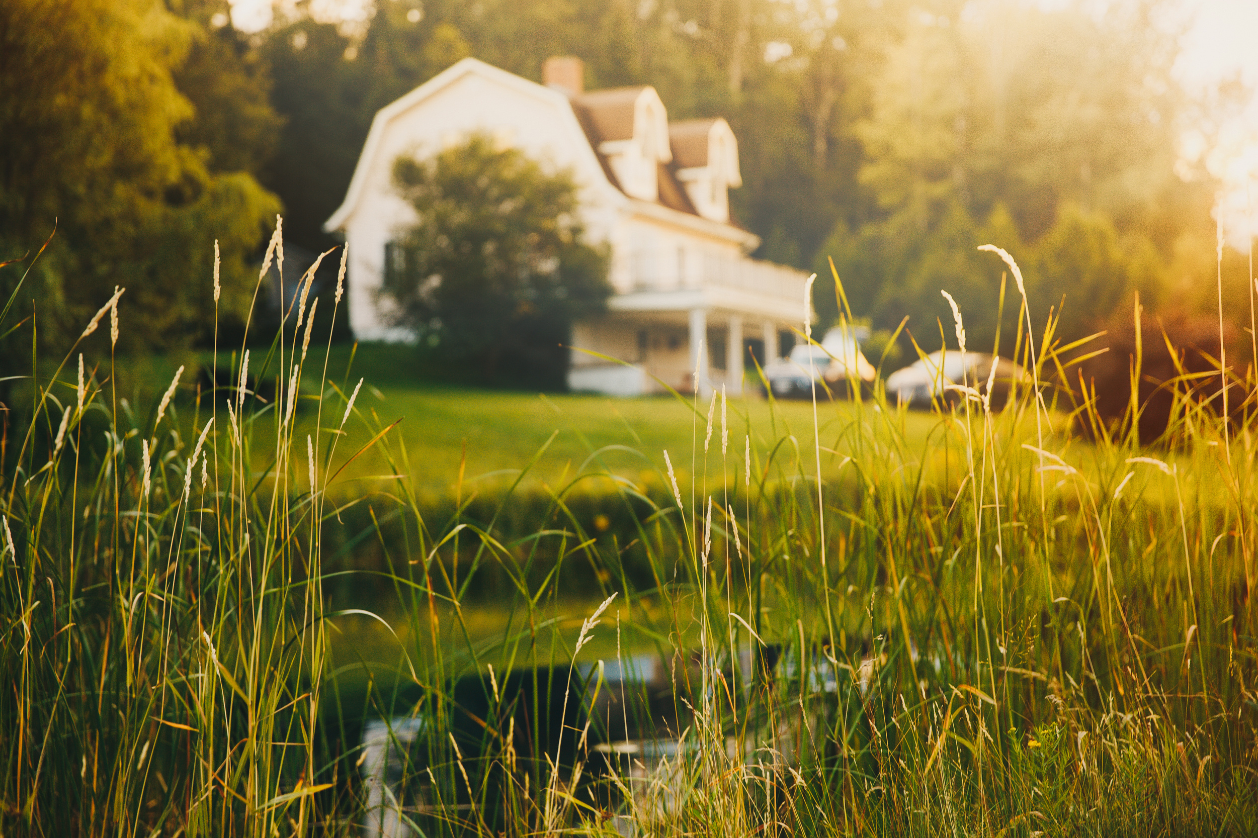 Rural view, blurred background, pond, and house in the distance at sunset. 